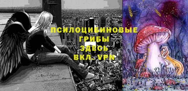 Альфа ПВП Арсеньев